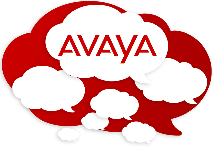 Enterprise Systems 1 avaya